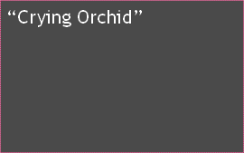 “Crying Orchid”